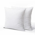 Plush Pillow Inserts – 20x20in, Set of 2
